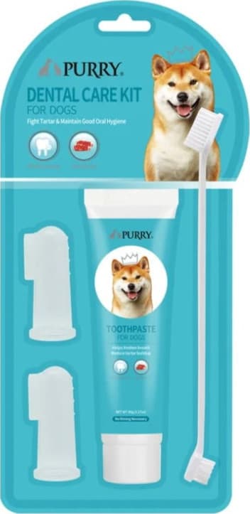 Purry סט טיפול מתקדם לשיניים בטעם בקר - ערכת 4 חלקים