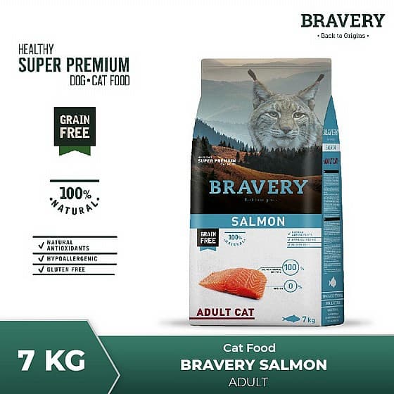 Bravery ברייברי בטעם סלמון 7 ק"ג + 3 חטיפים לחתולים